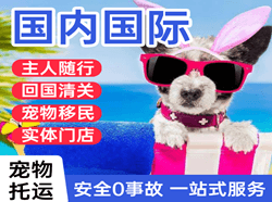 宜春明月山机场邮寄国际宠物托运 【国